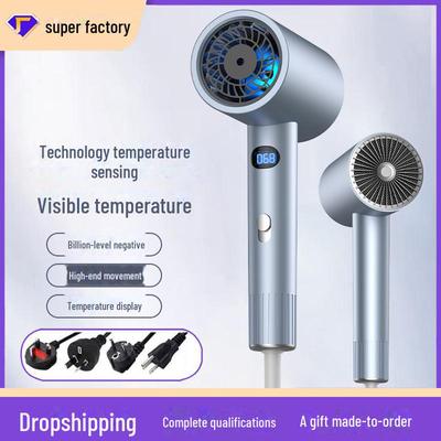 Household Hair Dryer with Negative Ion Care