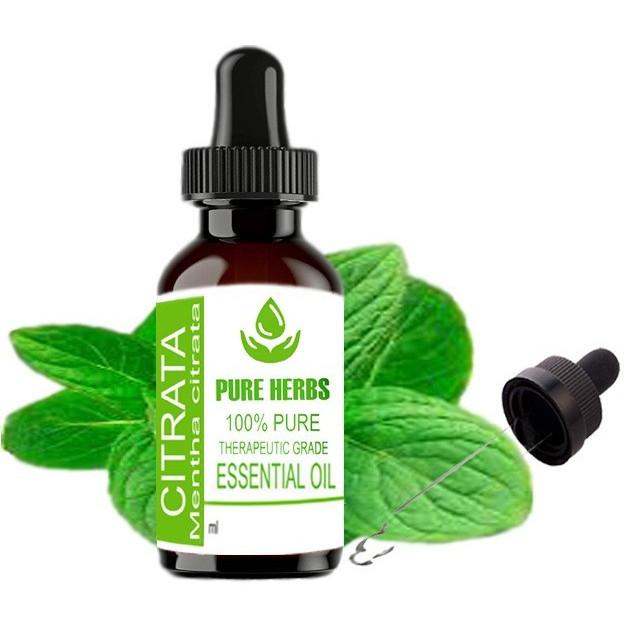 Pure Herbs Citrata 100% Pure & Natural Mentha Citrata Essential Oil