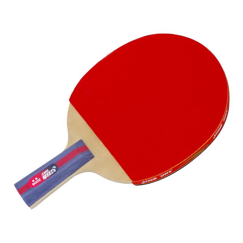 DHS H2006 2-Star Table Tennis Racket Set