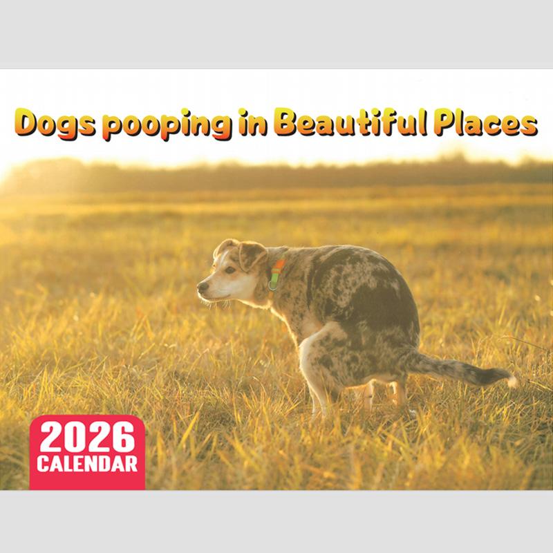 

Funny Dog Calendar 2026 Planning Wall Calendar Hangable Monthly Calendar Decorative Hangable Calendar For Date Work Planning