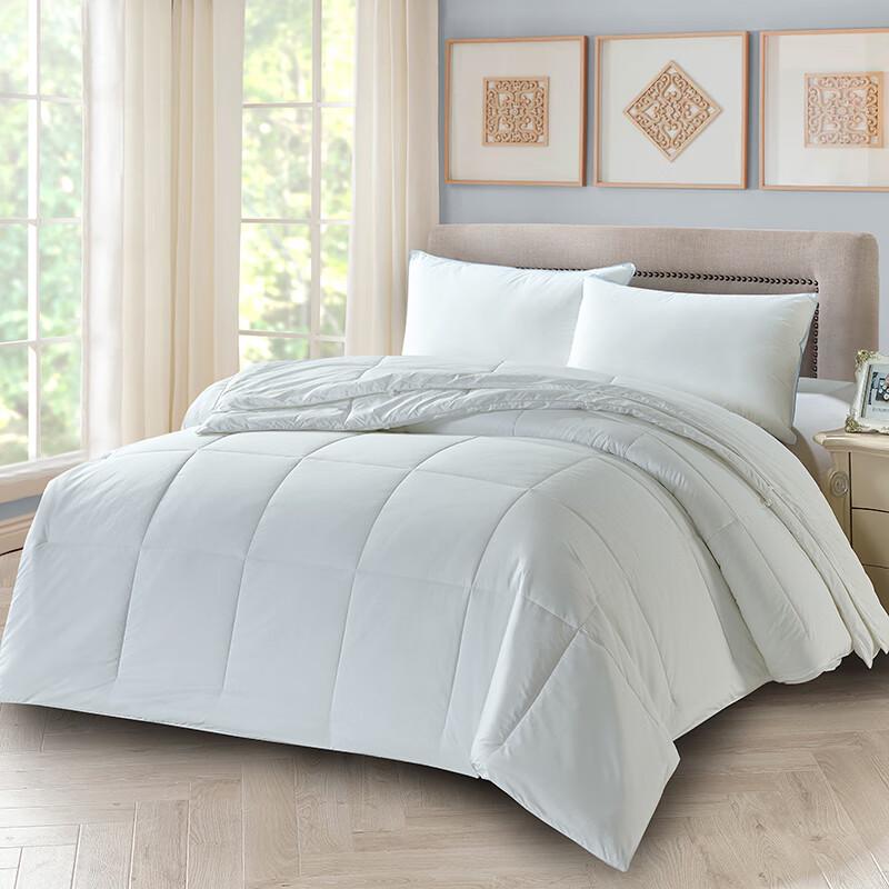 

Yilan Youyou All-Season Polyester Duvet Set