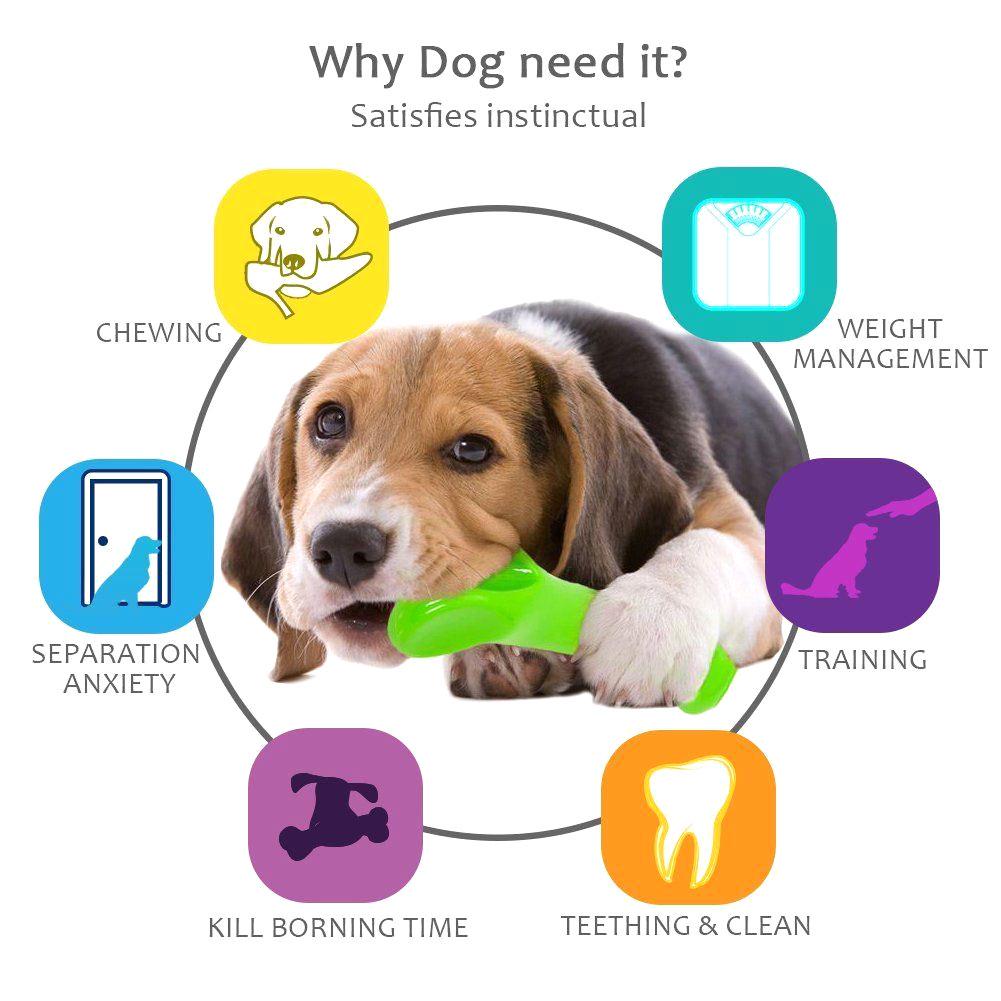 indestructible dog bone