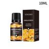10ML Essential Oils for DIY Scented Candle Soap Essence Fragrance Oil Perfume Refill Aroma Diffuser Natural Plant Essential Oil
