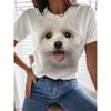 New Kitten Animal T-shirt Cat 3D Print Summer Women Short Sleeve T Shirts Streetwear Harajuku Y2k Tops Woman Girls Tees Clothing