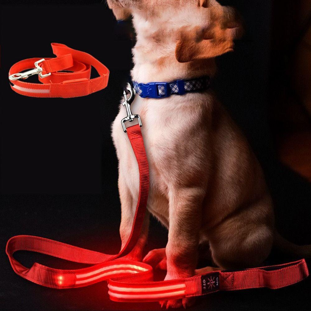 Adjustable LED Light Up Dog Leash Nylon Dog Glowing Walking Rope  At Night