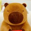 New Year Style Capybara Plush Doll Red Packet Stuffed Capybara Doll  Birthday Gift