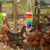 Bird Chicken Xylophone Toy Wooden Colorful Hanging Suspensible Bird Cage Accessories Musical Toy with 8 Keys Bird Training Play