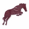 Large Horse wall clock