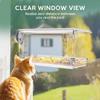 1Pc Outdoor Window Bird Watching Transparent Suction Cup Feeder, Outdoor Wild Transparent Bird House