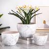Nordic Style Extra-Large Ceramic Flower Pot for Indoor and Outdoor Use - Ideal for Money Tree & Pothos Creative Bonsai