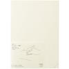 DESIGNPHIL (MIDORI) MD Notebook 1 Day 1 Page Unlined B 15389006