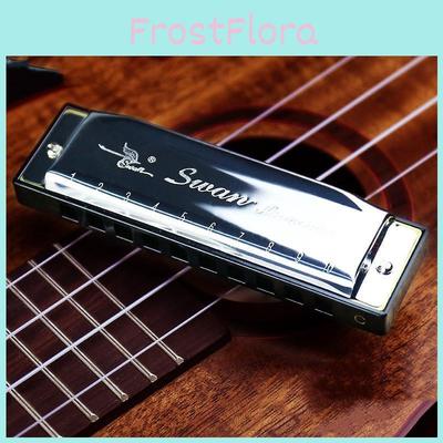 Swan Harmonica 24 Hole C Key Professional Instrument With Plastic Holes For Music Enthusiasts