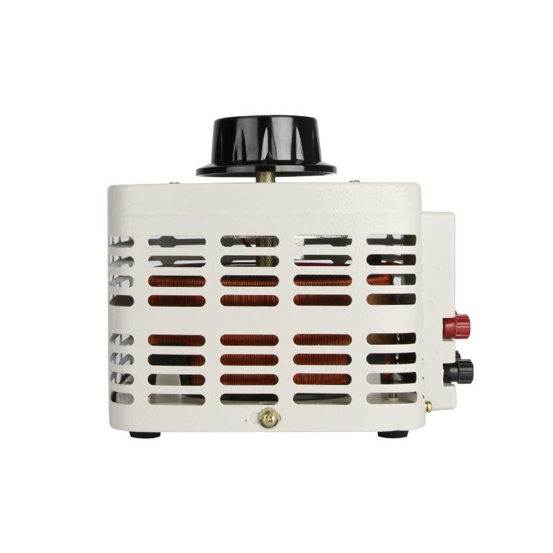 DELIXI TDGC-1Kva 1000W Single-phase Voltage Regulator