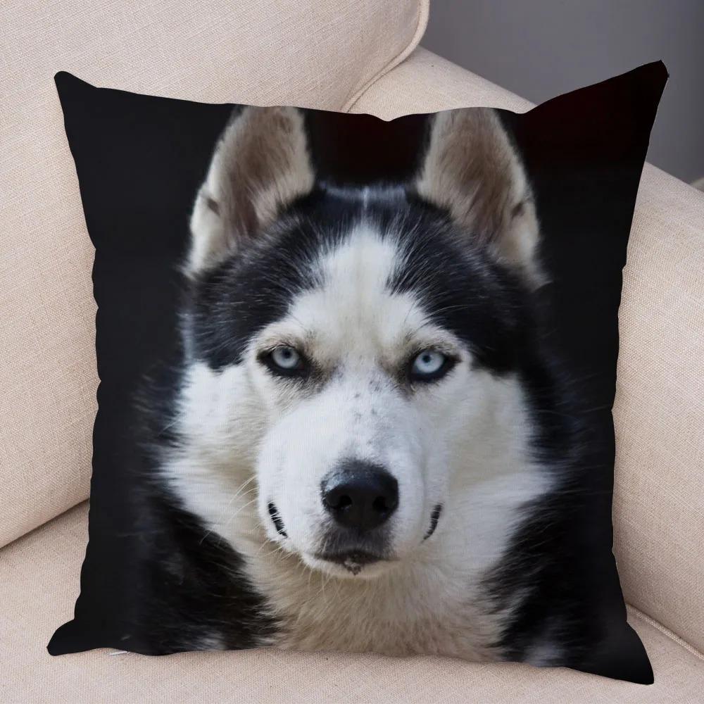 pc Realistic Siberian Husky Print Pillowcase Set Polyester NonEmbroidery Cushion Covers for Sofa Bed Dog Lover Home Decor