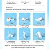 6Pcs Mini Resin White Goose Figurines Cute Cartoon Design And Vivid Colors For Desktop Decor Bonsai Micro Landscape Diy Craft