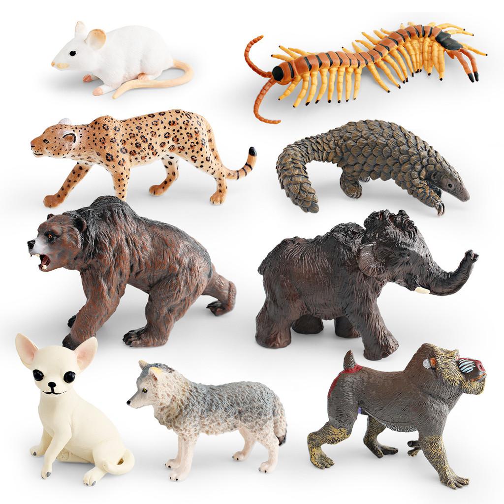 Leopards Pvc Wolves Figure Realistic Wildlife Models For Kids Learning Playtime