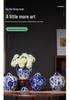 Blue & White Porcelain Vase: High-End Ceramic Apple Jar for Living Room or Entryway Decor.