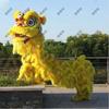 Adult Southern Lion Dance Head & Costume Set
