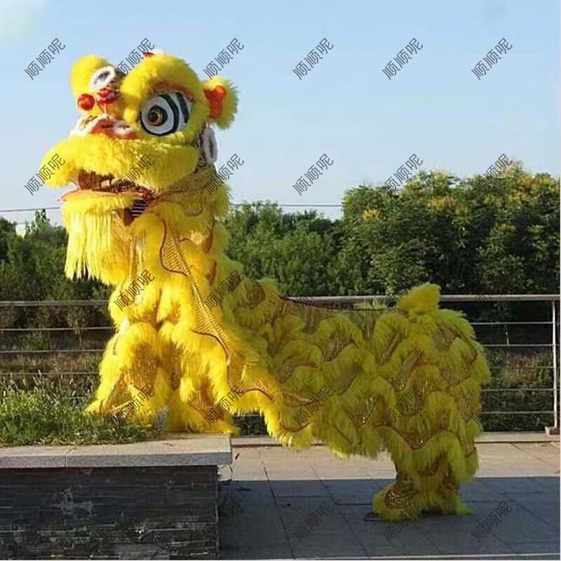 Adult Southern Lion Dance Head & Costume Set