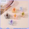 Koreanischer Stil 4CM Transparenter Glitzer Plumeria Haarspange für Damen