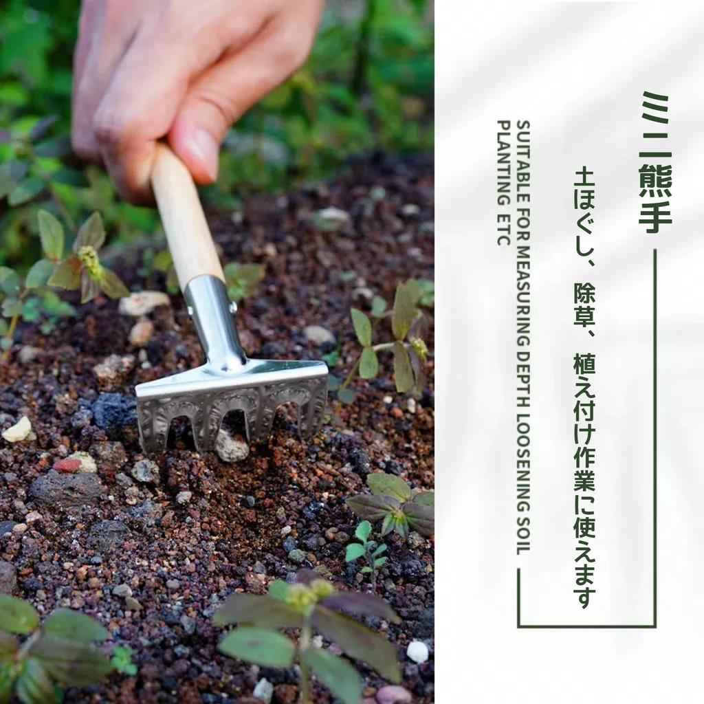 KERURU Gardening Succulent Bonsai Mini Stainless Steel with Matte Weeding and Transplanting Trowel Tools, Tools, Tools, 3-Piece Set, Shovel, Rake,