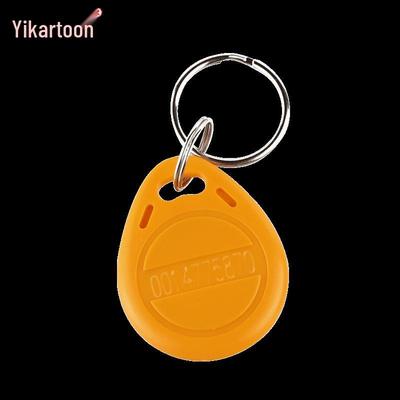 125KHz ID RFID Access Control Key Fob CN Plug (adapter Included)