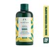 The Body Shop Banana Truly Nourishing Shampoo 250ml Pack of 1 For Soft Frizz-Free Hair