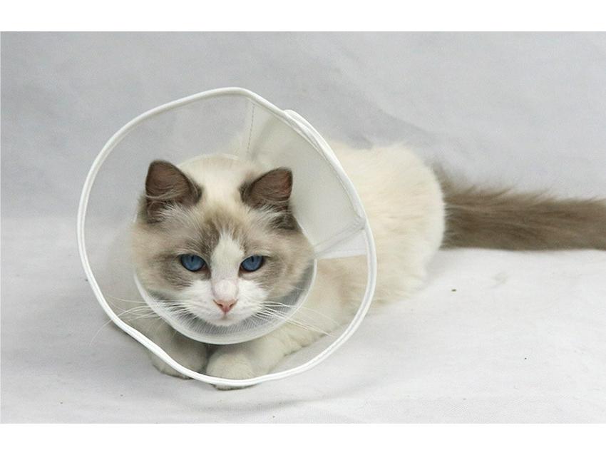 Coleira Macia Transparente de PVC Emendado Anti-Mordida para Gatos e Cães