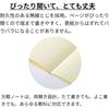 Ogurishiko OGUNO Mahora Easy-to-Write Kanji Practice Notebook Semi-B5 32-Grid Mint 3-Pack, Japanese School Writing Book for Kids & Adults