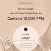 Mise-en-scène Salon 10 Protein Shampoo für stark geschädigtes Haar, 500ml
