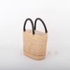 Woven Straw Handbag Women Small Vertical Square Tote Beach Bag Casual Daily Use