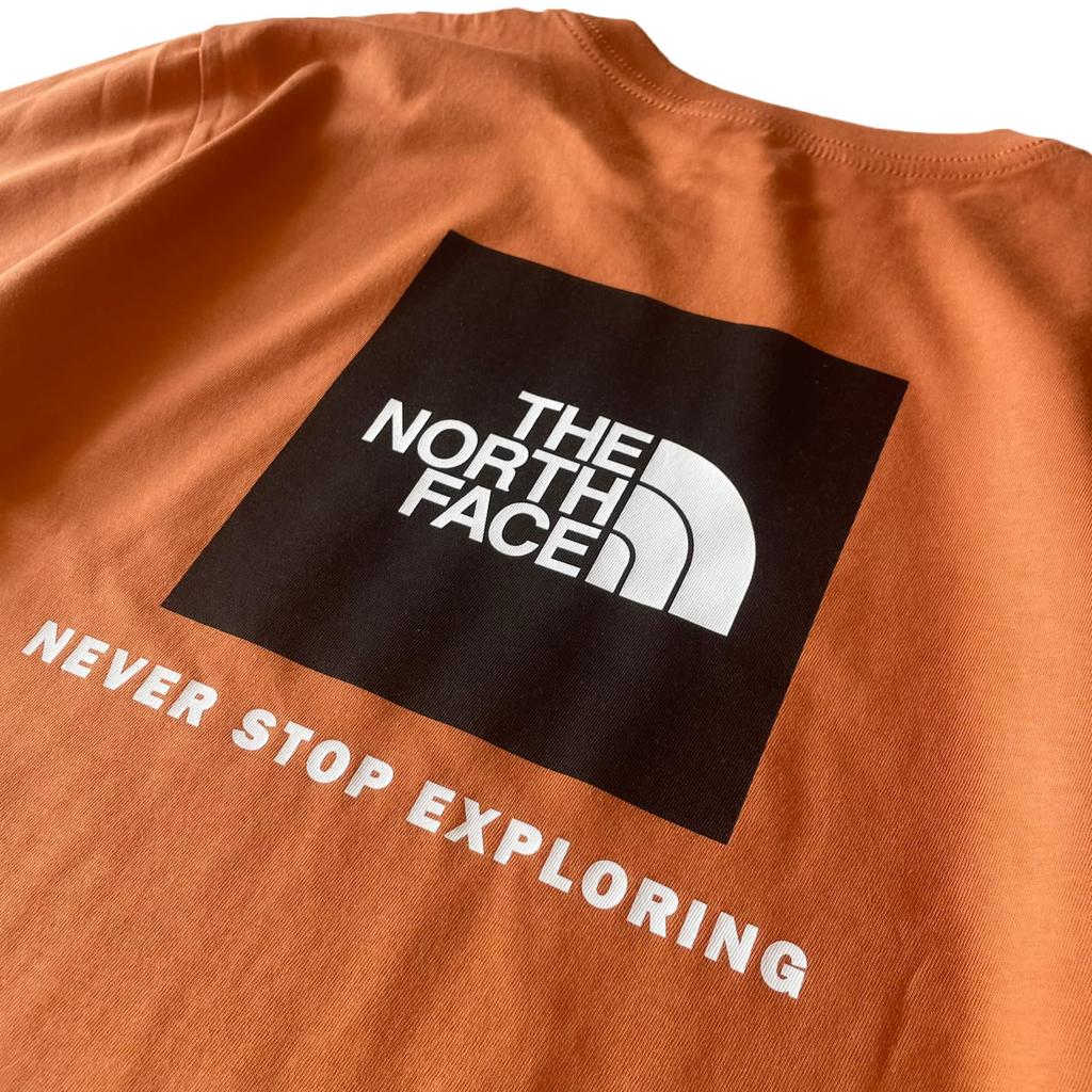 The North Face Box Nse Iron Long Sleeve with Back Print and Box Size L Tee, Bronze, T-Shirt Logo, [Used]