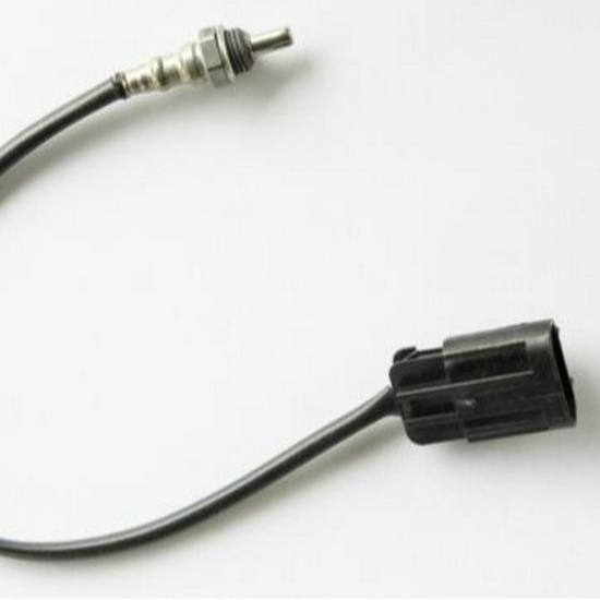 ATV RZR Beach Car Oxygen Sensor