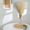 Faux Pampas Grass 17.3in High Rustic Colors Durable Cloth Widely Used Fake Reed Grass