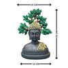 Latest Buddha Statue Under Tree | Home Figurine for Living Room, Gifting, Decor