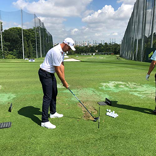 Tour AD Swing Practice Alignment Stick, Graphite Design VF Model (Black/Red)