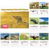 2026 Wall Calendar Dog Pooping/Angry Cat Calendar January 2026 - December 2026