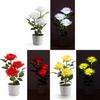 Solar Rose Garden Led Lamp With 3d Illumination For Patio And Garden Decor