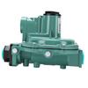 2nd Stage Gas Regulator R622 DFF 22.5 31mbar Adjustable Output Pressure 3 4 NPT Inlet Outlet LP Gas Regulator for