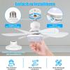 Ceiling Light with Fan,Ceiling Fan with Lighting and Remote Control,Small Quiet Ceiling Fan with 3 Wind Levels,Dimmable,Timing Function for Bedroom