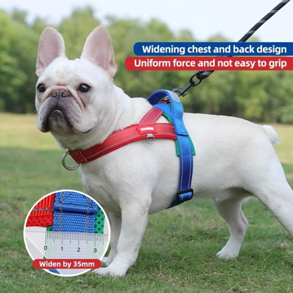 Spliced Colors Dog Harness Kit Adjustable Pet Walking Straps  for Small Medium Large Dogs