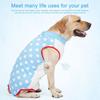 Easy Wear Pet Recovery Suit High Elastic Pet Neutering Suit Pet Weaning Clothes  Weaning Use