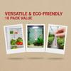 Miniature Indoor Paper  10 Pcs 5cmX1.1cm Celsius Range -20 to 50 for Student Science Kits and Experiments