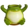 Swing Face Planter Pot Swinging Plant Pot Smiling Outdoor Plants Succulent Pot Cute Smile Face for String of Pearls Succulents
