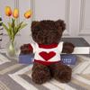 Sweater Bear Doll Birthday Gift Teddy Bear Plush Toy Doll