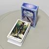 Tarot Weset Silent Wasteland Kartendeck Für Anfänger Und Kreatives Lernen