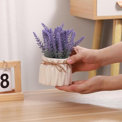 Elegant Lavender Potted Plant Set for Home and Office Decor