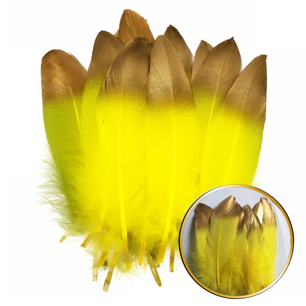 FeatherYellow Feathers for Crafts, 31 Styles Natural Pheasant, Rooster, Duck Feathers Bulk for Costume DIY, Fly Tying,Party Decoration