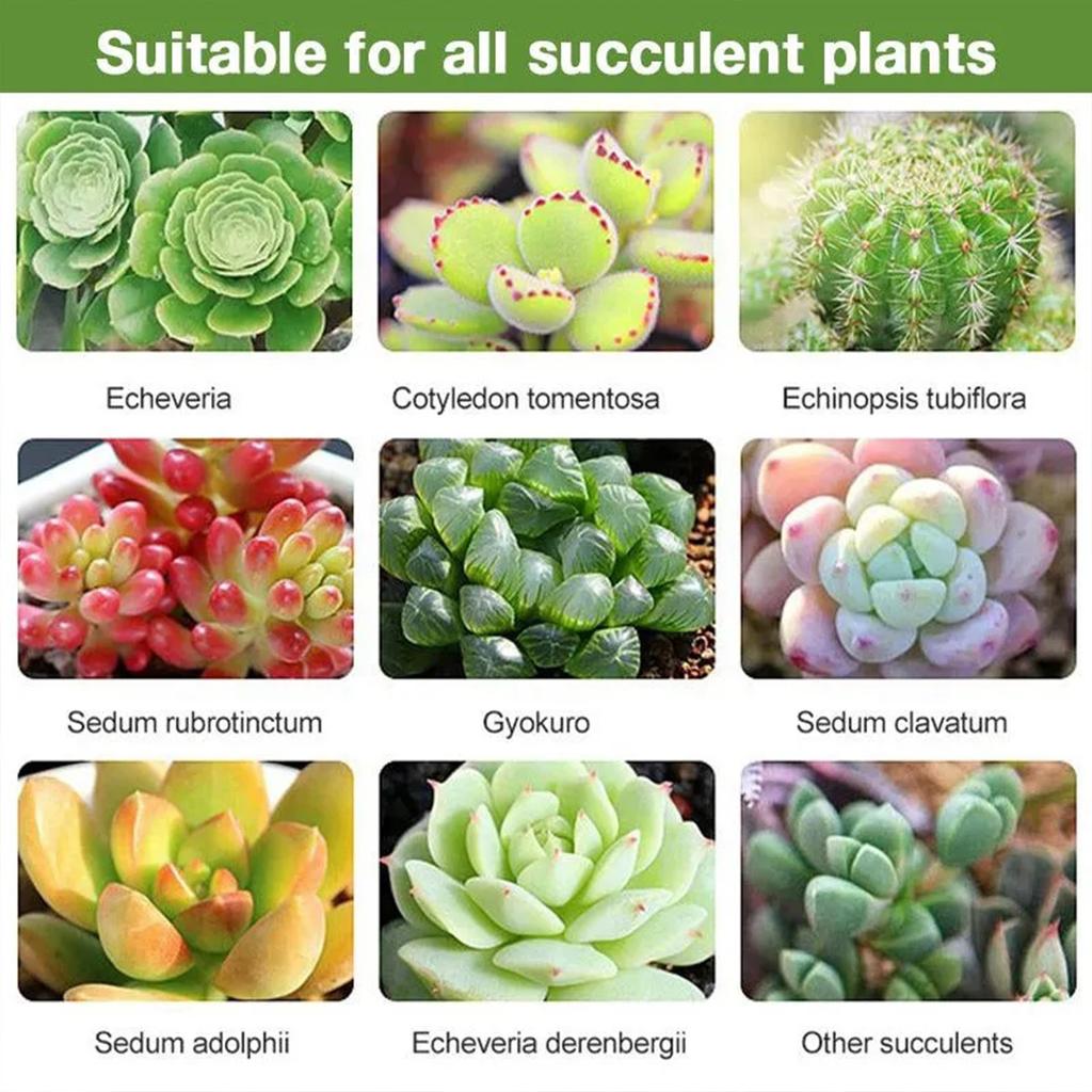 300ml Plant Liquid Fertilizer Efficient Universal Germination Nutrient Solution Succulent Plant Nutrition Mist Spray Garden Tool