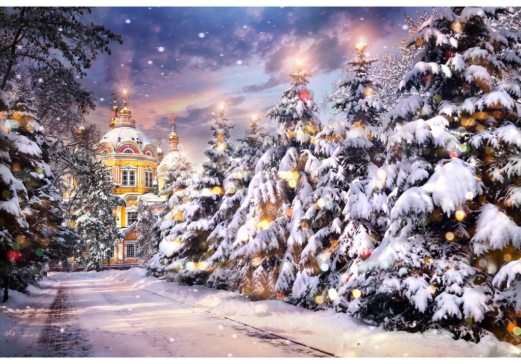 Christmas Tree Winter Castle Photography Backdrop